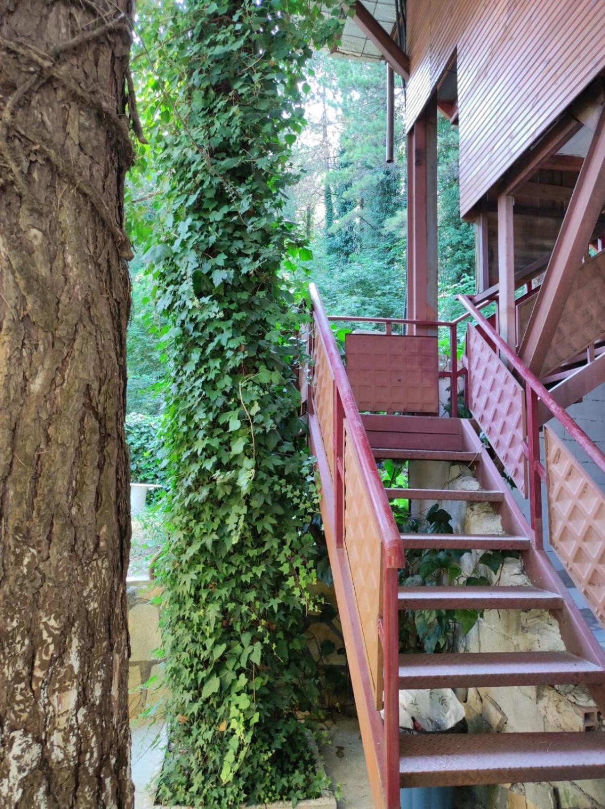 Hotel Toni Llogora Dukat Exterior foto